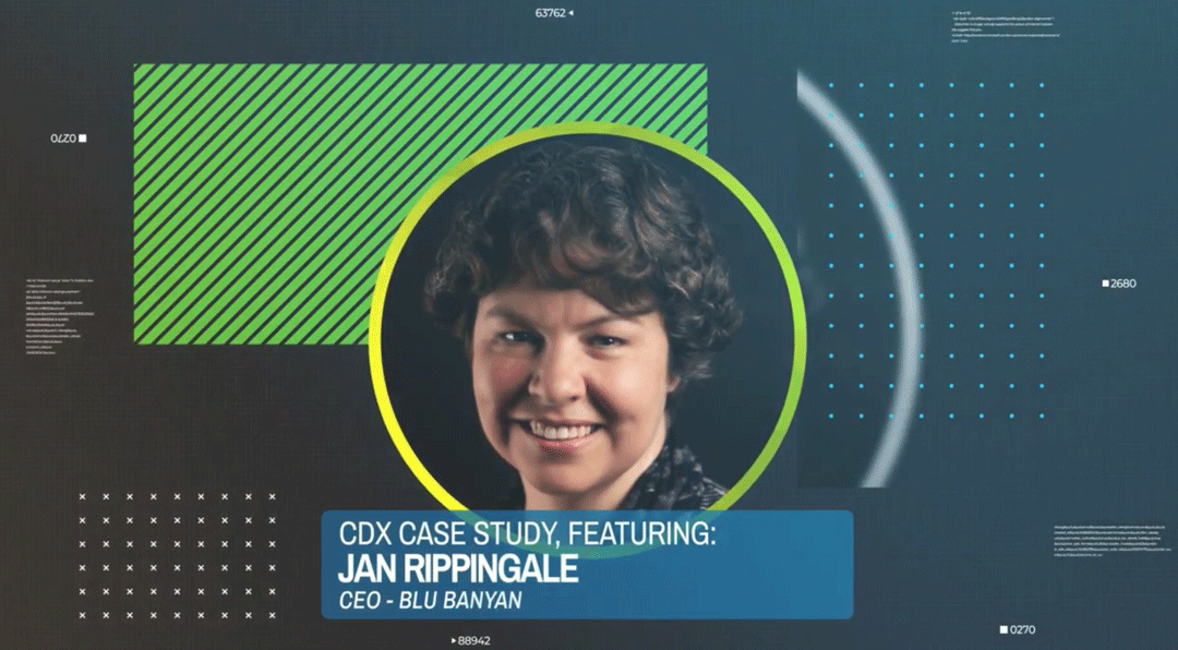 CDX Case Study: Solar Supply Chain featuring Jan Rippingale, Blu Banyan CEO